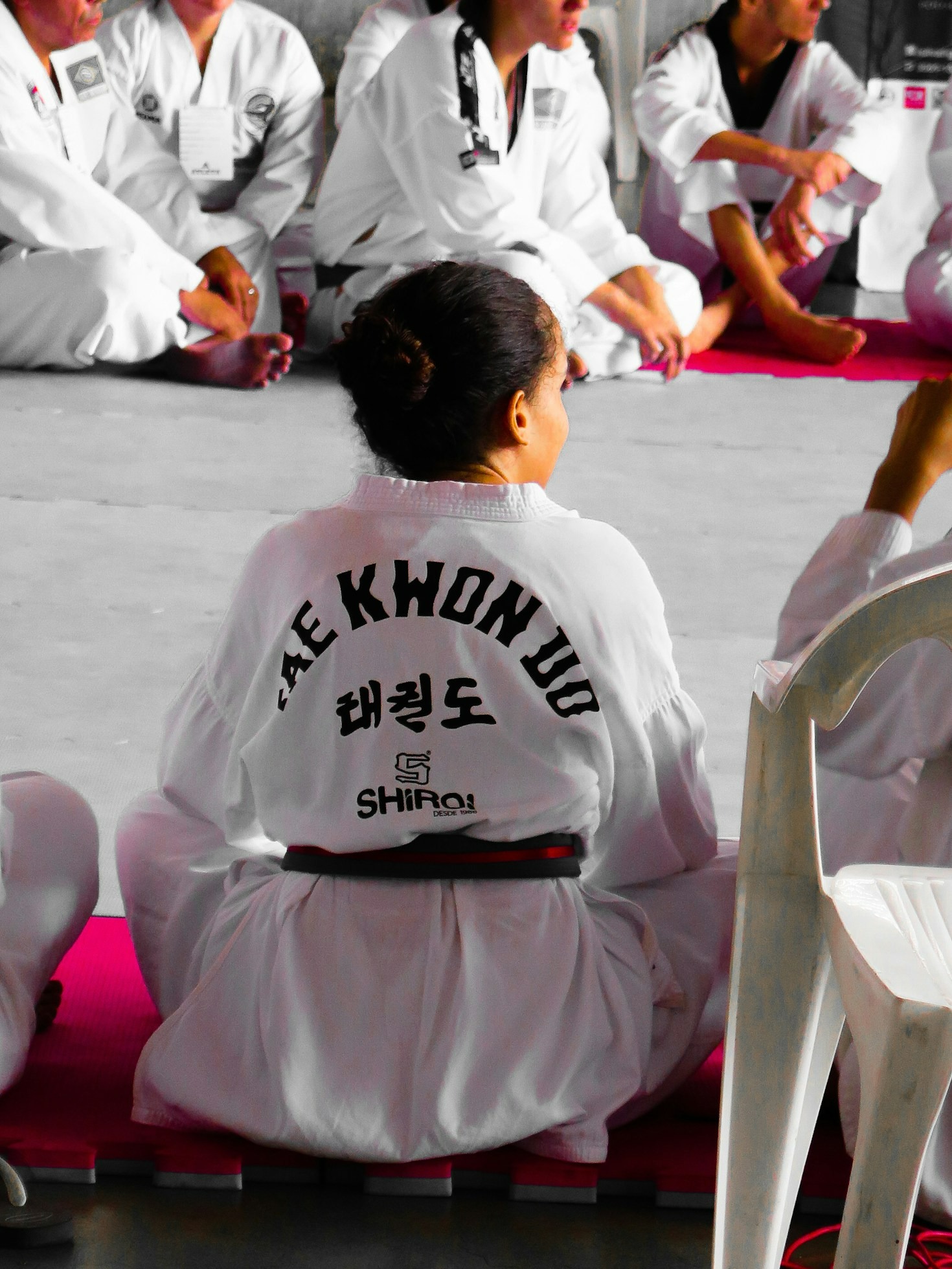 The Role of Taekwondo in Achieving SDGs
